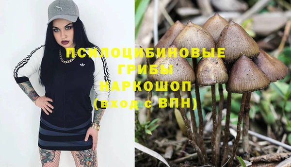 герыч Белая Холуница