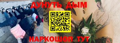 стаф Абинск