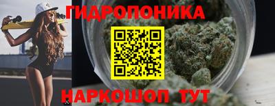 PSILOCYBIN Заводоуковск