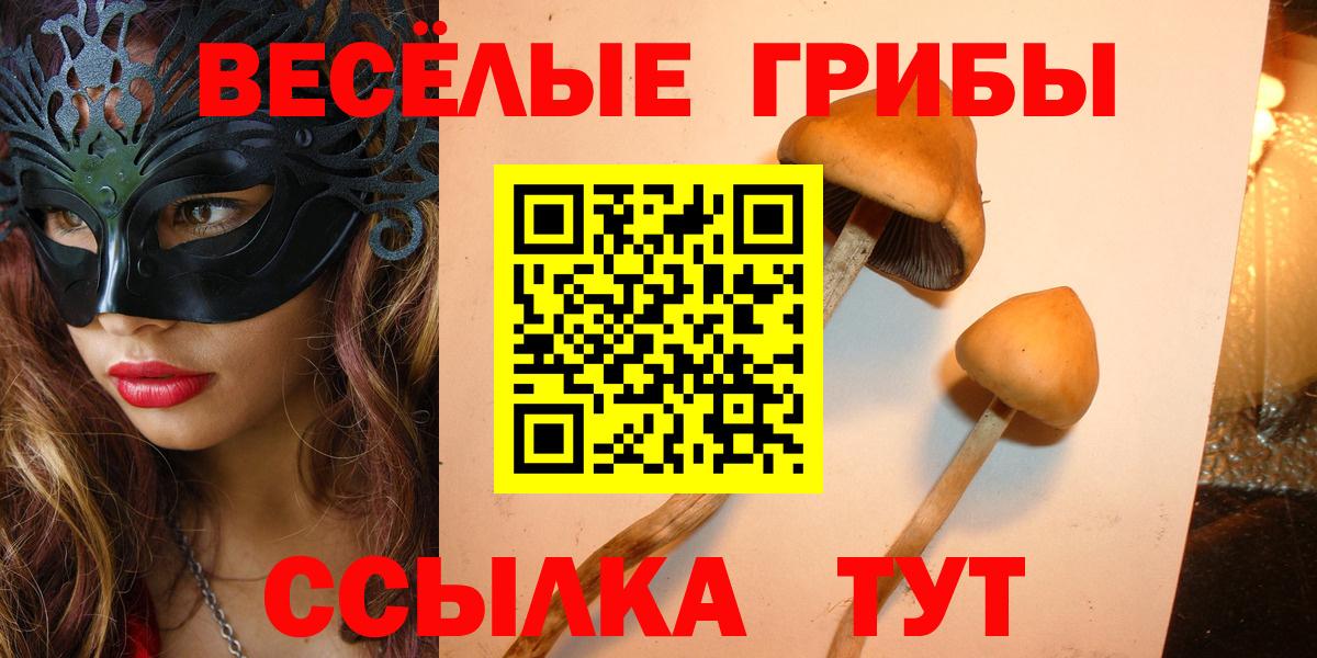 Минеральные Воды  Галлюциногенные грибы Magic Shrooms  Вход с VPN  Галлюциногенные грибы Magic Shrooms 