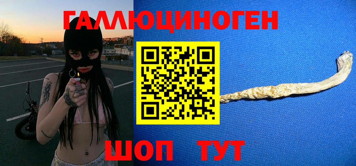 Псилоцибиновые грибы Cubensis  Минеральные Воды 