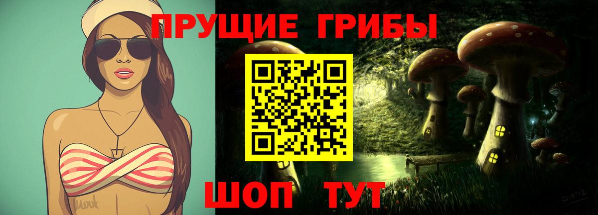 Псилоцибиновые грибы Psilocybine cubensis Минеральные Воды